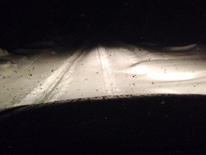 Parker Road near Pleasant Lake earlier this morning.